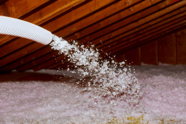 Best Geographic-Specific Insulation Services in Warsaw, MO